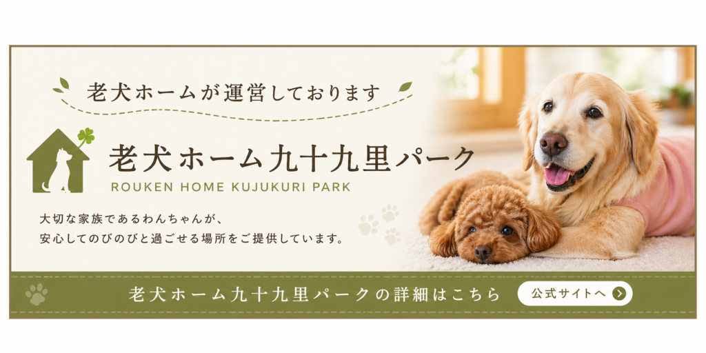 老犬ホーム千葉